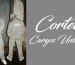 corteiz cargos